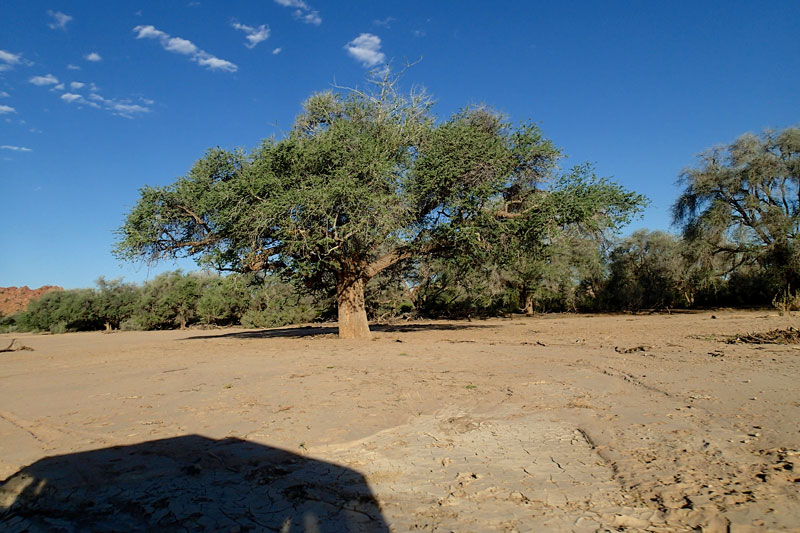 Namibia